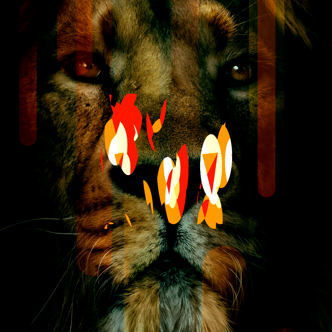 Square Video #3ZokNZA Thumbnail 0