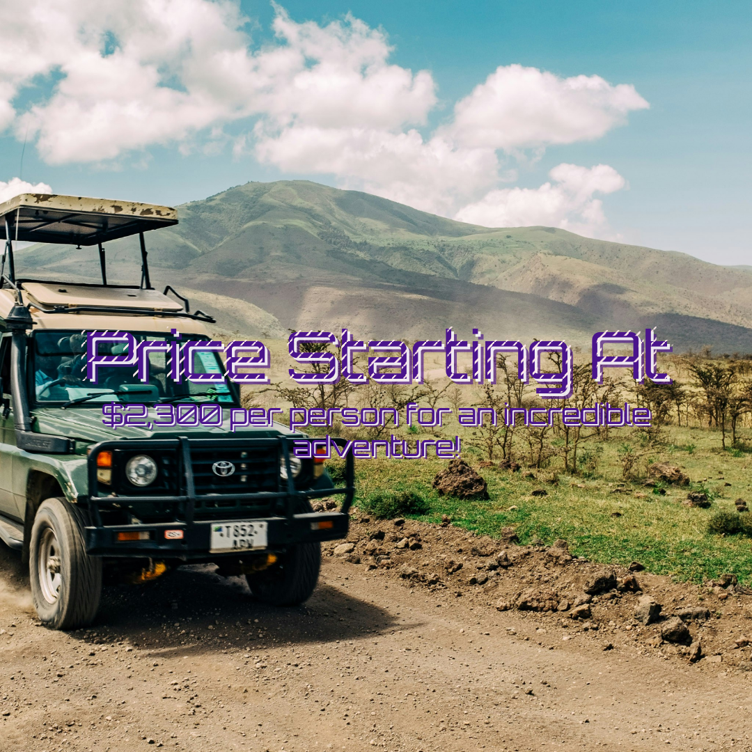 Square Video #wZpKPJB Thumbnail 3