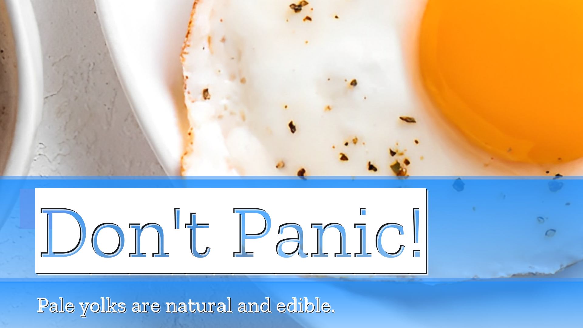 Landscape Video #gBeNnDZ Thumbnail 1