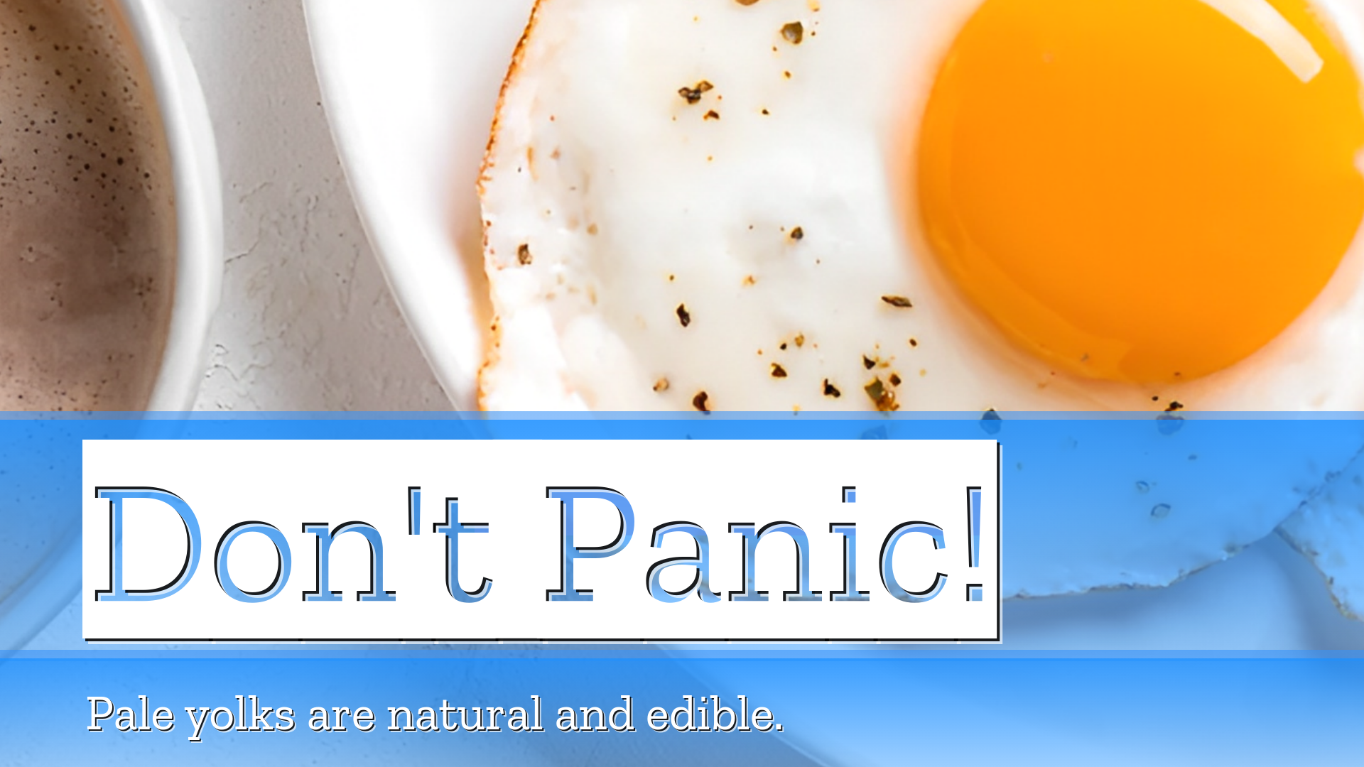 Landscape Video #gBeNnDZ Thumbnail 2